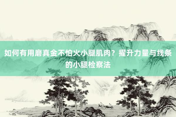 如何有用磨真金不怕火小腿肌肉？擢升力量与线条的小腿检察法